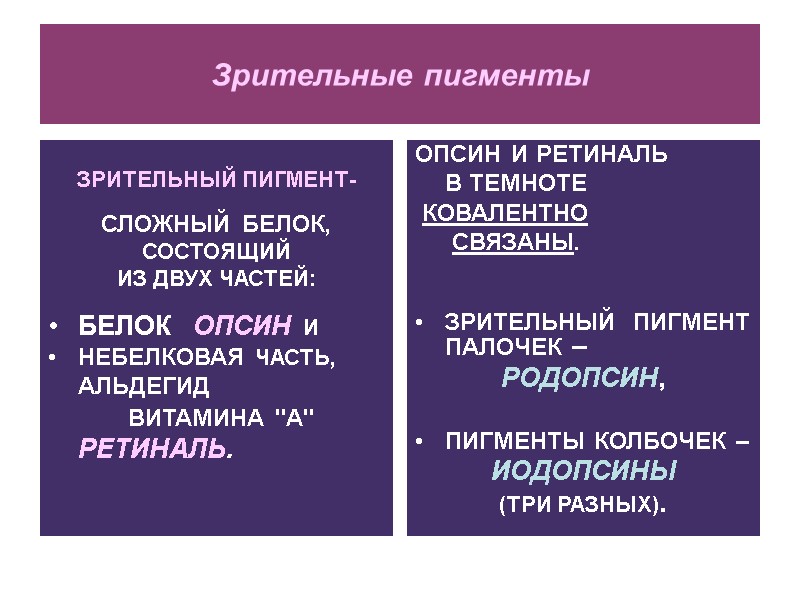 Зрительные пигменты  ЗРИТЕЛЬНЫЙ ПИГМЕНТ-  СЛОЖНЫЙ БЕЛОК, СОСТОЯЩИЙ  ИЗ ДВУХ ЧАСТЕЙ: 